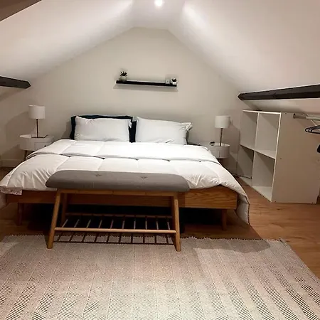 Apartment Duplex Proche Zenith, Megacite, Stade