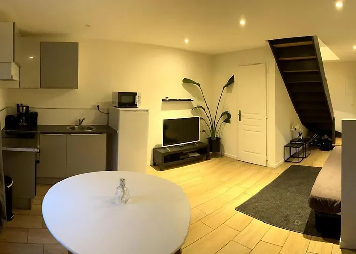 Appartement Duplex Proche Zénith, Mégacité, Stade *